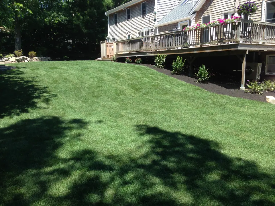 A new lawn behind the house