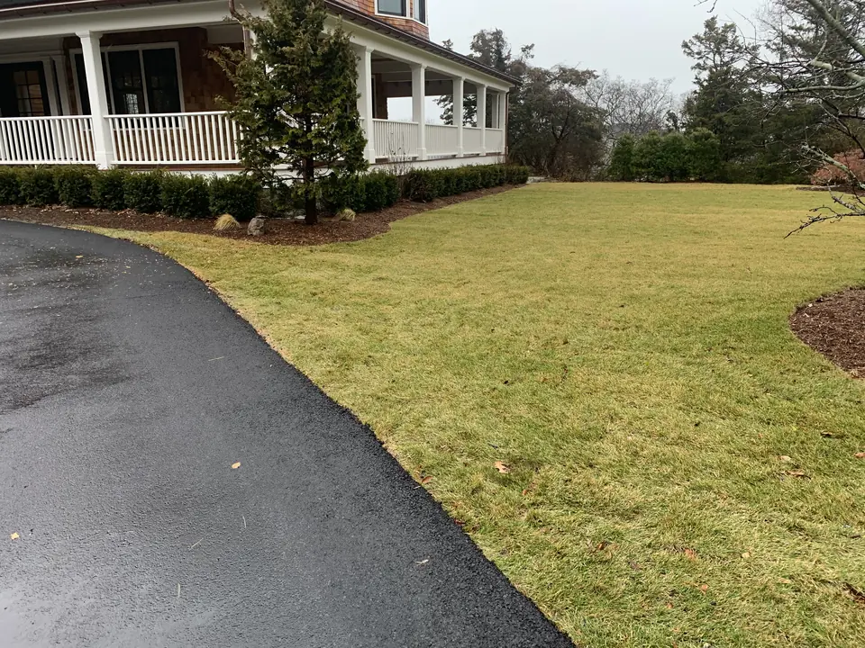 New lawn beside the drive
