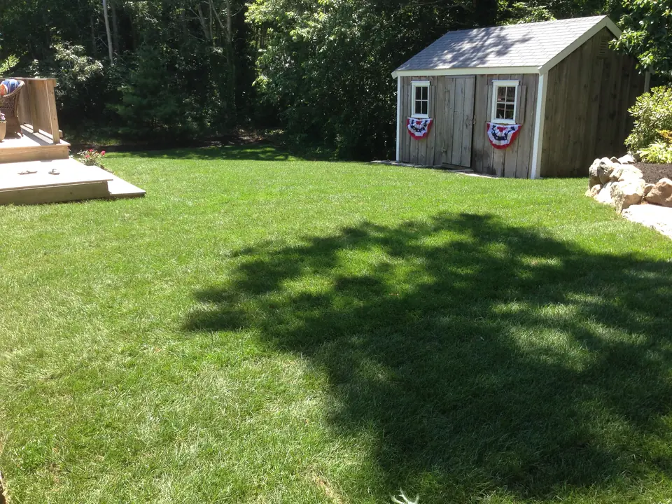 New lawn out to the shed